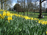 Castle Park, Colchester