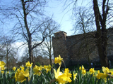 Colchester Castle