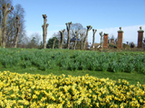 Castle Park, Colchester