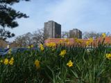 University of Essex, Wivenhoe