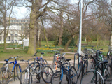 University of Essex, Wivenhoe